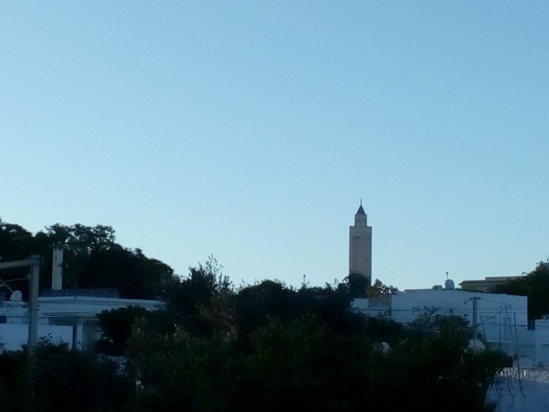 dariplay coups de coeurs