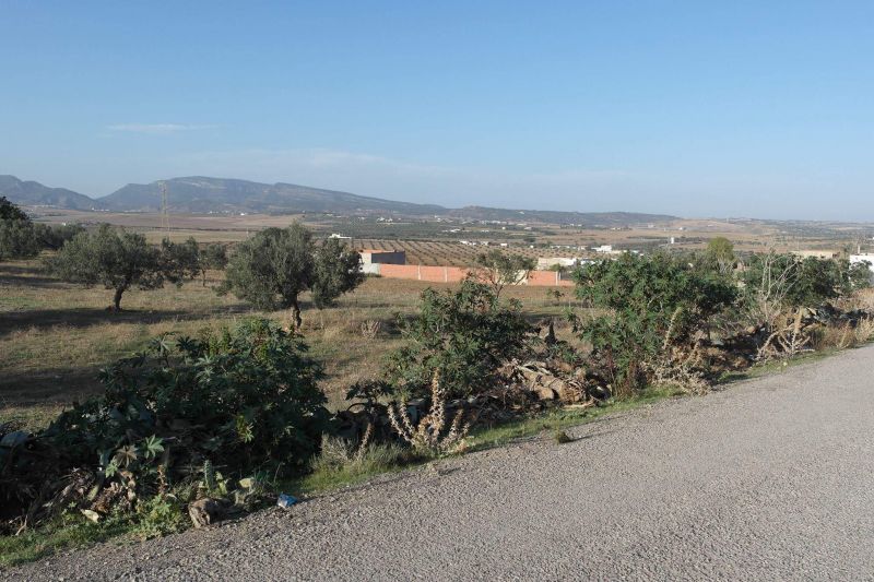 dariplay coups de coeurs